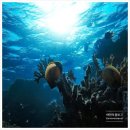 마이 단독 이미지