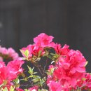 진산자연휴양림 이미지