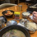 멜번 방학한사람 일상