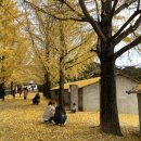 의동마을 이미지