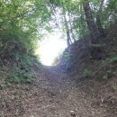 명호관점 이미지