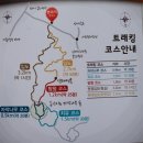 5월 28일 일요당일 - 원대리 자작나무 명품 숲 단풍 + 수타사 산소길 트레킹 안내 - 신청하기 이미지