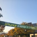 오동골1 이미지