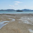 대전해수욕장1 이미지