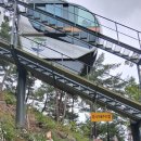 속리산농장 이미지