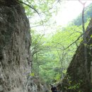 도적소 - 음지백판골 - 황철봉 - 울산바위 - 신흥사 // 신흥사 이미지