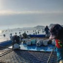 계절수산 - 서천군 동중길 35 | 계절수산