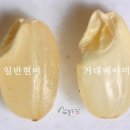 산들농산