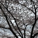 경기도미술관 화장실 이미지