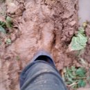 영관농장 이미지