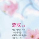 새벽농부