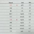 티움동물병원 이미지