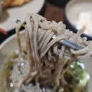 현대시장(분당) | 광화문 미진 동대문 현대시티아울렛점 점심 특선 후기 | 미슐랭 맛집 가성비 메뉴 추천