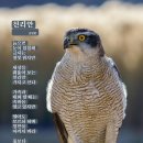 천리안 이미지