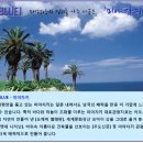 [남규슈][아시아나항공]6월18일한번,\399,000원◈시가이아리조트+전박온천◈ 이미지