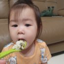 다둥축산 | 배달이유식추천 아이가 잘먹는 팜투베이비