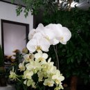 평택시청 민원실 이미지