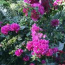 장영훈 행정사 사무소 이미지