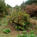 고려장골 이미지