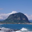 제주 산방산 암벽식물지대 이미지