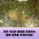 류마사랑내과의원 이미지