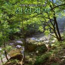 울진군온정면선구보건진료소 | [울진여행] 신선계곡, 숨막힐 듯 청명한 숨겨진 비경
