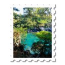 한밭대로(유성-15) 이미지