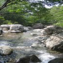 지리산 휴가 민박 네이버블로그