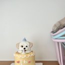 해버바잍 네이버블로그