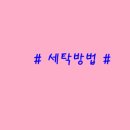 영세탁 이미지