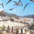 운송초교 이미지