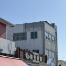 미영이네횟집 | 제주도 횟집 미영이네, 제주도민 추천 고등어회 찐맛집 후기