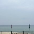정동초등학교 | 제 27회 정동진 독립 영화제 3일차 후기-낭만의 우천시 영화 감상