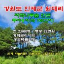 자작나무 펜션2 이미지