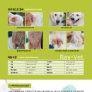 동탄중앙동물병원 이미지