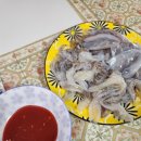 일번지민박 | 26년 5월 효자도 꼴뚜기회, 참소라, 산낙지, 꼬막비빔밥, 우도땅콩술과 먹은 생생 후기