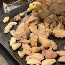 평화김해뒷고기구서점