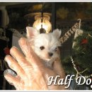 한성켄넬 이미지