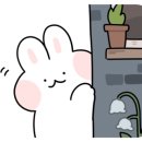 영재막창