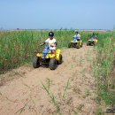 효용검도관 이미지