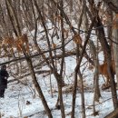 송아지집 이미지