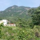 탐나는부동산중개 이미지