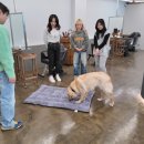 독불장군 이미지