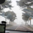 평대전복 이미지