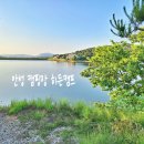 안성 캠핑장 히든캠프 아이랑 다녀온 2박3일 후기 그린존5