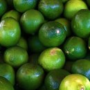 라임 이미지