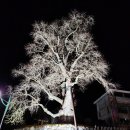 백번가 코다리 고성점 이미지