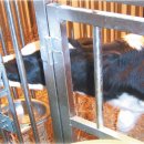 두용농장 이미지