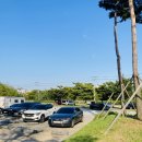 청라 노을공원 스케이트플라자 이미지