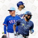 MLB에서 핫템이라는 반클리프앤아펠 목걸이 이미지
